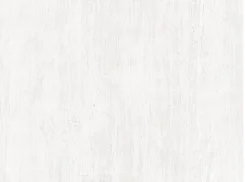 ����. ������� 16��� ����