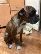 ������. ����