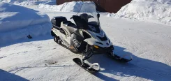 BRP Lynx 49 Ranger. ��������, ���� ���, � �������� ����