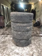 Lexani. ������, �/�, ����� 60 % ����