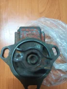 ��� ������� ����