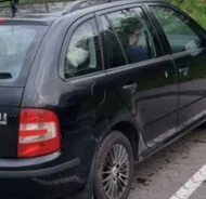 Skoda Fabia ����