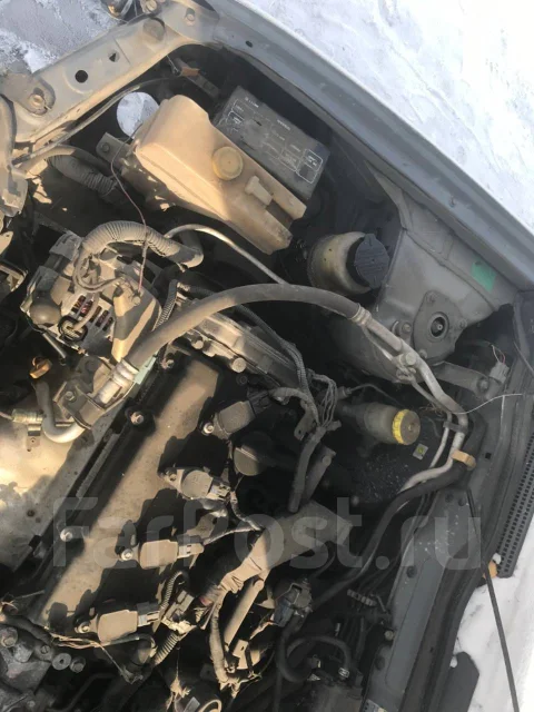 Nissan Bluebird Sylphy. TG10356788, QR20 ����