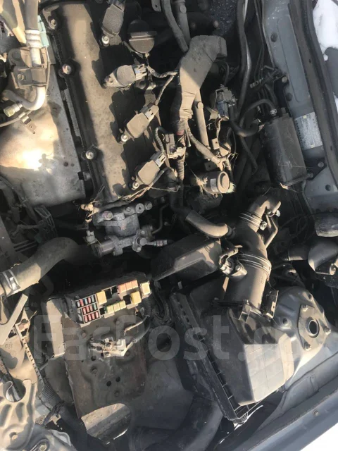 Nissan Bluebird Sylphy. TG10356788, QR20 ����