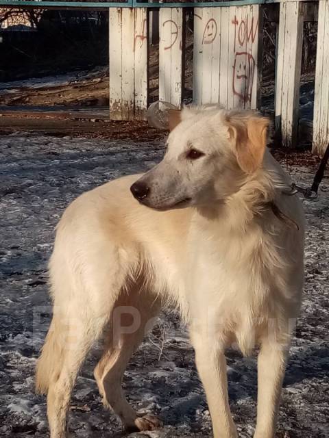 Возьму крупный займ