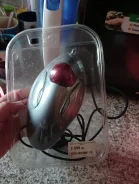 ��������. ����