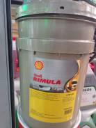 Shell Rimula. 10W-40, �������������, 20��. ����