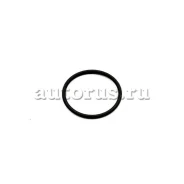 ������ �������������� Auto-GUR RR250 (WHT003368) RR250 ����