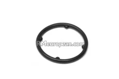 ������ �������������� Auto-GUR RR324 24*2,5(079103121AD/N90832501) RR324 ����