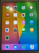 Apple iPad Mini. 8 ������ ����