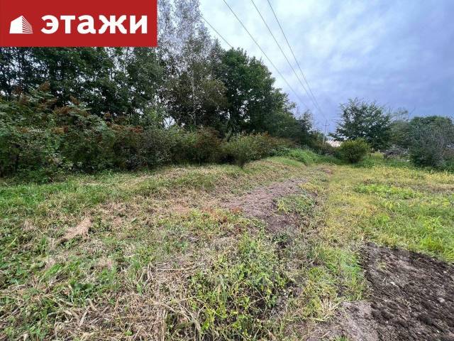 Снт мотор падозеро
