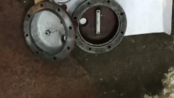 ������������ �������. ����