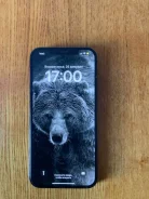 Apple iPhone 12 Pro Max. �/�, 128 ��, ������, 4G LTE, 5G, ����������, NFC ����