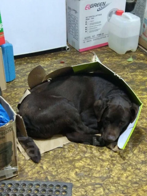 ������. ����
