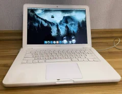 Apple MacBook. ���� 250���, WiFi: 1, Bluetooth: 1 ����