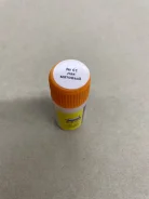 ����. ����