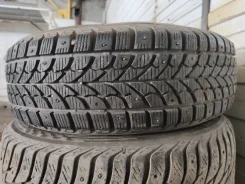 Bridgestone Winter Radial WT-17. ������, ����������, �/�, ����� 10 % ����