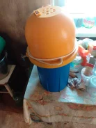 ����������. ����
