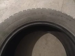 Bridgestone Blizzak DM-V1. ������, ����������, 2015 ���, �/�, ����� 10 %. �������� ������ ����
