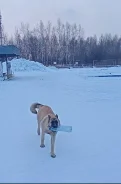 ������. ����