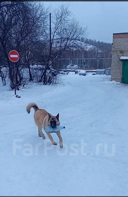 ������. ����