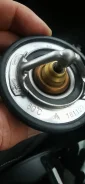 ��������� ����� 80 �������� WV56TB82 ����