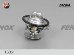 ��������� � ������������� ������� 88 �������� ������� ��� FORD Mondeo, FORD Escort, FORD Transit fenox ts051 TS051 ����