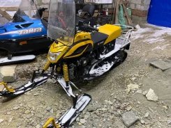Irbis Dingo T150. ��������, ���� ���, � �������� ����