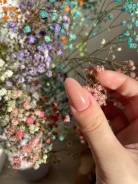  .  GPOLLY_NAILS.   9 