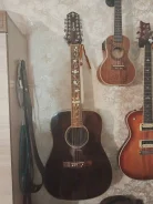 ������. ����