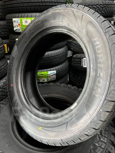 Horizon HR805. ������, 2023 ���, ����� ����