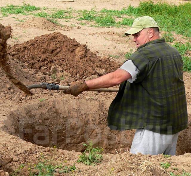 Вырубка деревьев, копка земли, покос травы, уборка территории, демонтаж ...