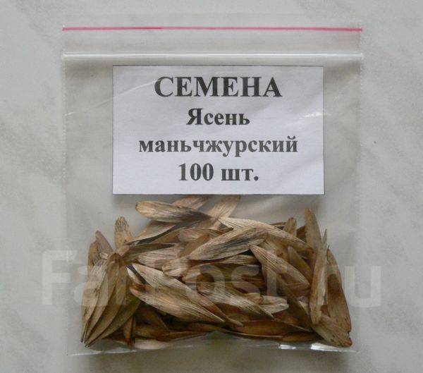 Как выглядят семена ясеня Ясень маньчжурский (саженцы, семена), новый, в наличии. Цена: 400 ₽ в Хабаровске