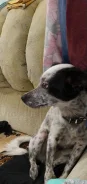������. ����