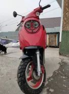 Irbis Z50R. 49����. ��., ��������, ������ �� �� ����