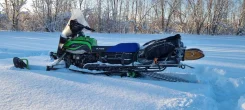 Irbis Dingo T150. ��������, ���� ���, � �������� ����