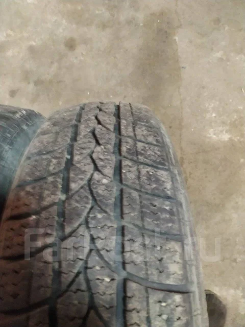 Tigar Winter A. ������, ��� �����, 2014 ���, �/�, ����� 50 % ����