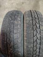 Tigar Winter A. ,  , 2014 , /,  50 % 
