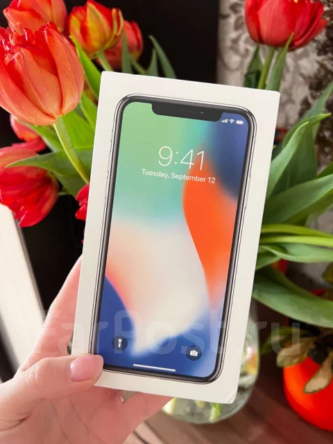 Apple iPhone X. �/�, 256 ��, ����������� ����