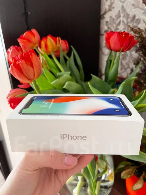 Apple iPhone X. �/�, 256 ��, ����������� ����