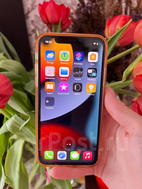 Apple iPhone X. �/�, 256 ��, ����������� ����