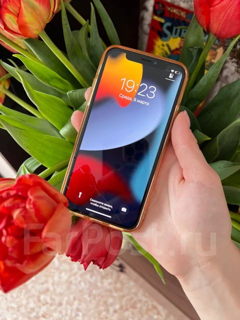 Apple iPhone X. �/�, 256 ��, ����������� ����