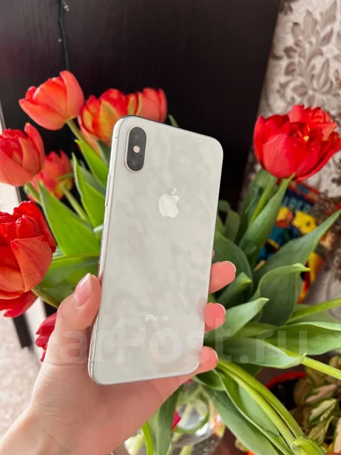 Apple iPhone X. �/�, 256 ��, ����������� ����
