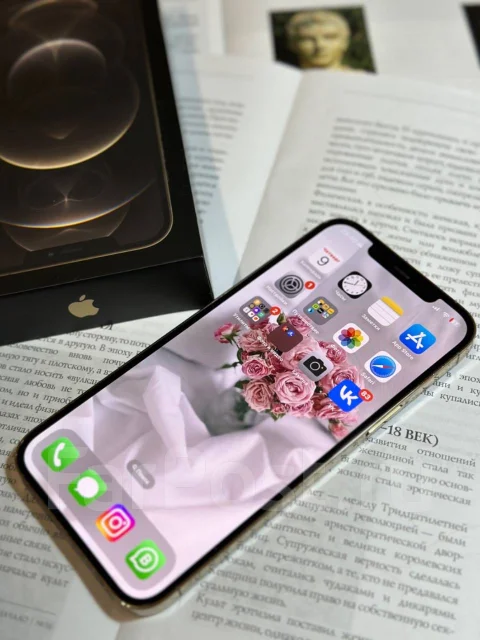 Apple iPhone 12 Pro Max. �/�, 128 ��, �������, 3G, 4G LTE, Dual-SIM, ����������, NFC ����