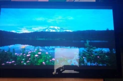 LG 42PG100R. ������ ����