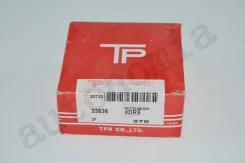 ������ ��������� 4DR5 STD (�-�) JP TPR [33836STD,1] 33836STD ����