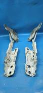   Jaguar XE X760 2015- Jaguar XE X760 2015- [ OEM2 GX7316801AE] 