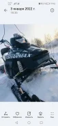 Sharmax Snowbear. ��������, ���� ���, � �������� ����
