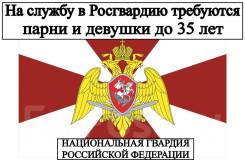 �����������. ���������������� ������ ���������� ������ ����