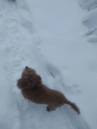 ������. ����